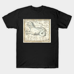 Cetus Constellation- Alexander Jamieson Art Print T-Shirt